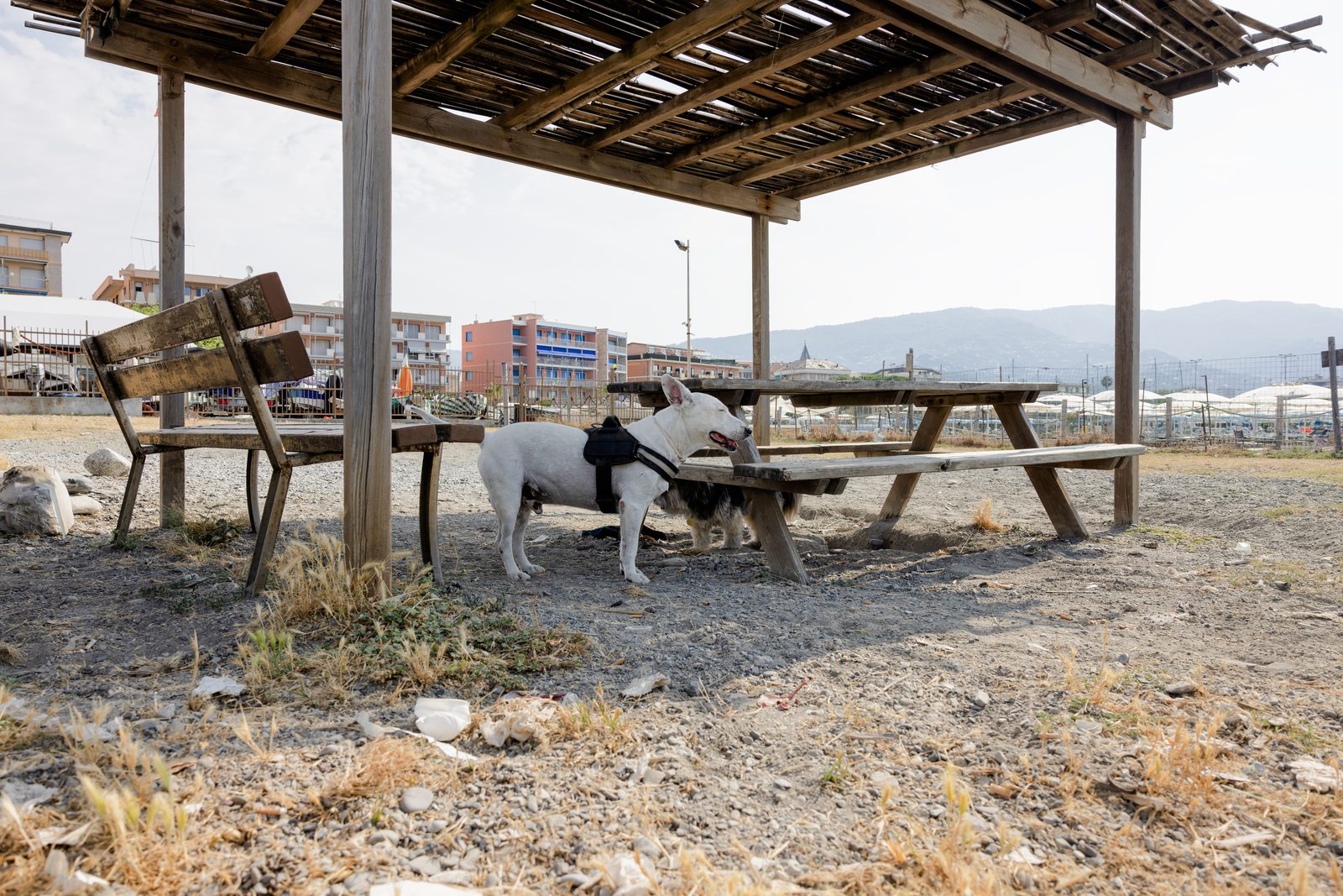 Area di sosta dell'area cani "Il Lido di Fido" a Chiavari