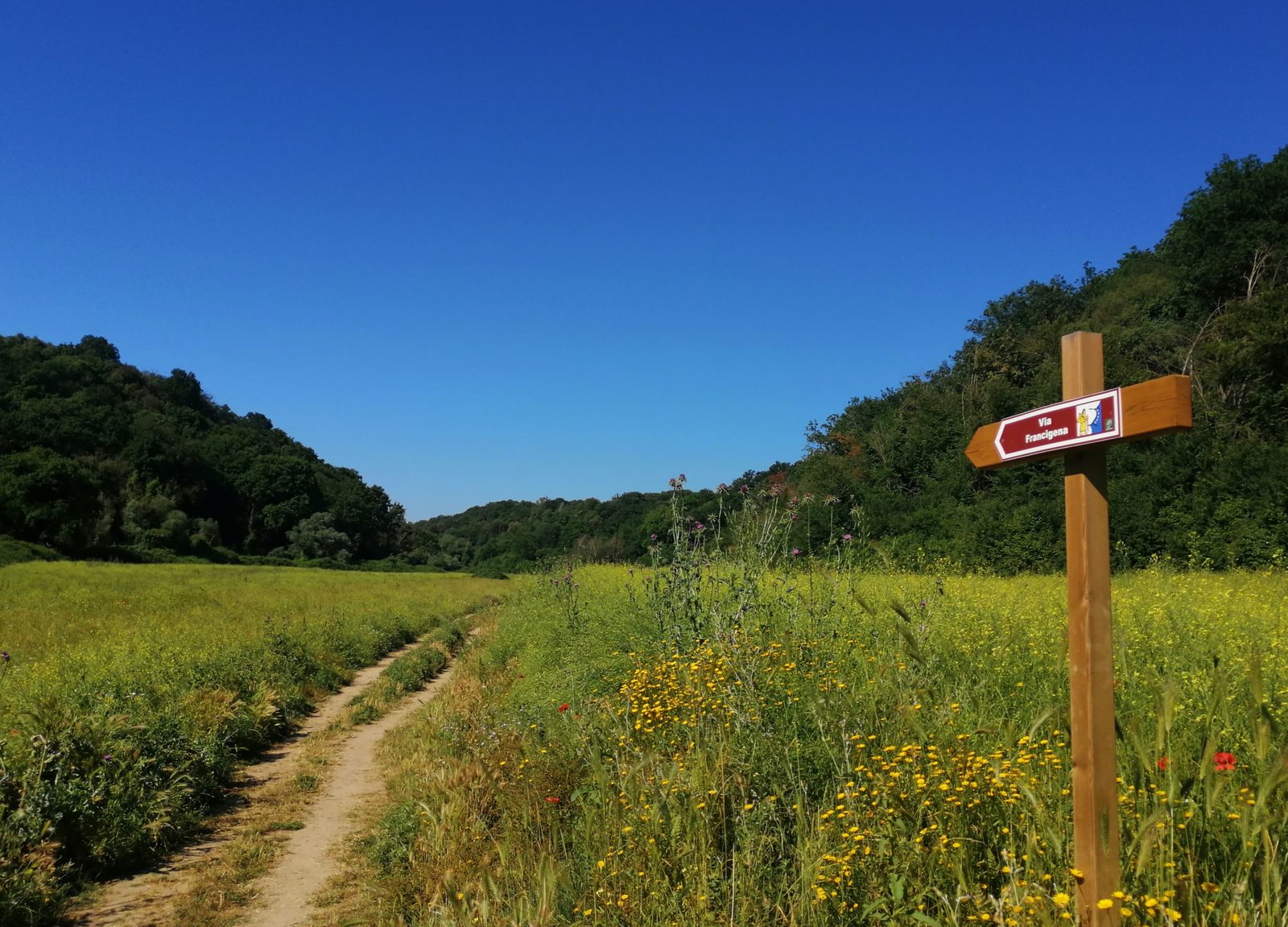 La via Francigena all'interno della riserva naturale dell'Insugherata