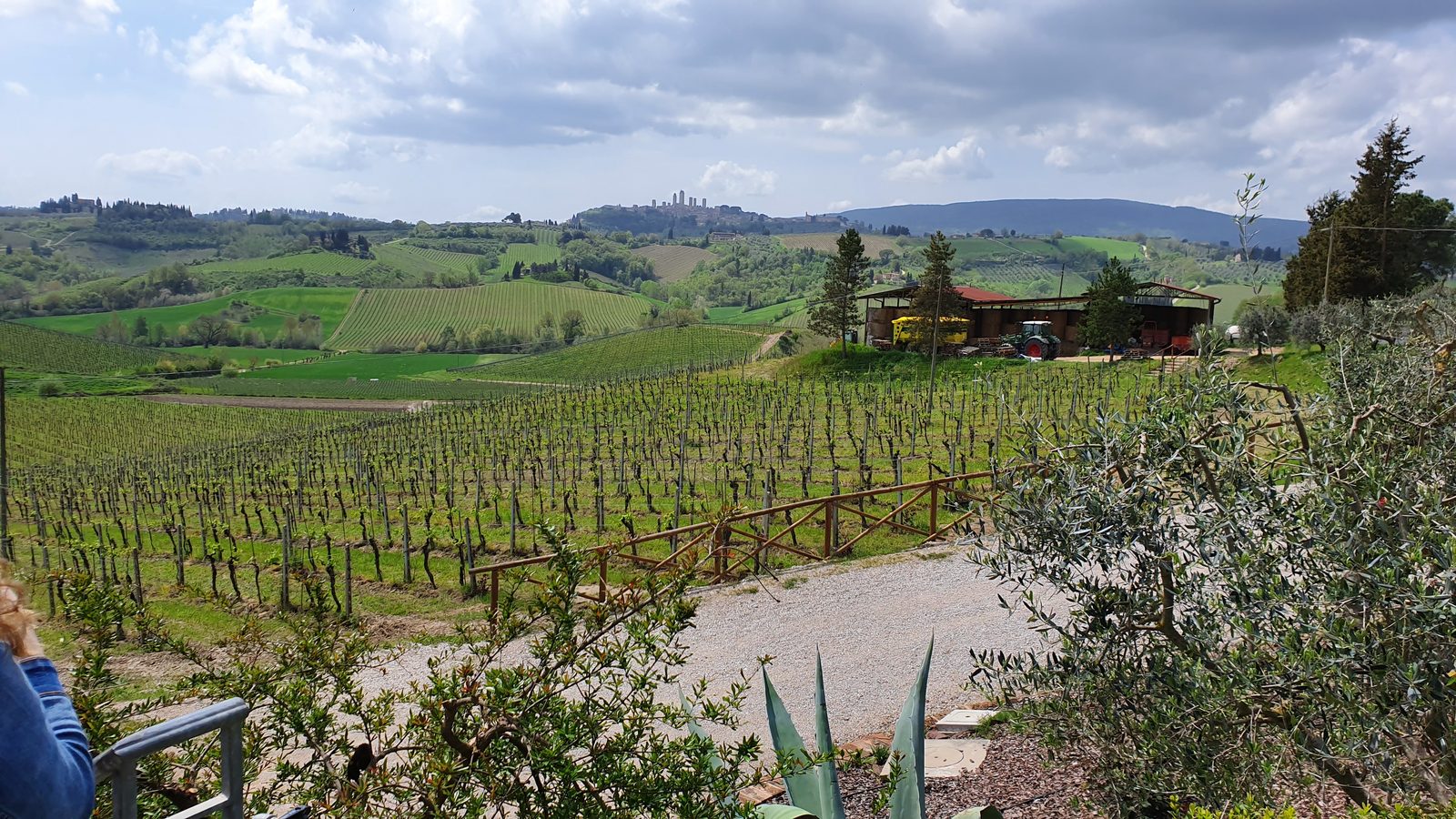 Remote view of San Gimignano-2